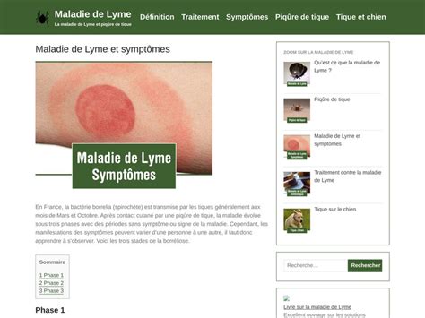 maladie de lyme symptômes tardifs traitement